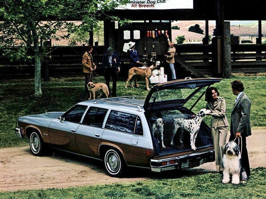  Oldsmobile Vista Cruiser 1977 года  (фото 1 из 1)